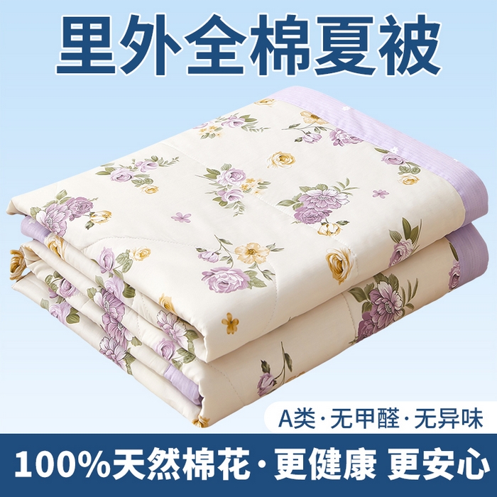 91家纺网 家纺一手货源 找家纺 （总）黛妮雅 2026新款里外全棉印花棉花被纯棉夏被夏凉被空调被 夏被四件套