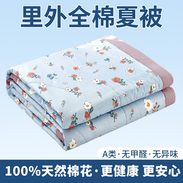 91家纺网 家纺一手货源 找家纺 （总）黛妮雅 2026新款里外全棉印花棉花被纯棉夏被夏凉被空调被 夏被四件套