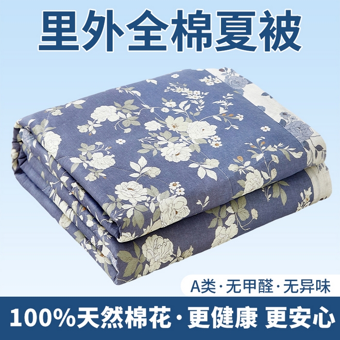 91家纺网 家纺一手货源 找家纺 （总）黛妮雅 2026新款里外全棉印花棉花被纯棉夏被夏凉被空调被 夏被四件套