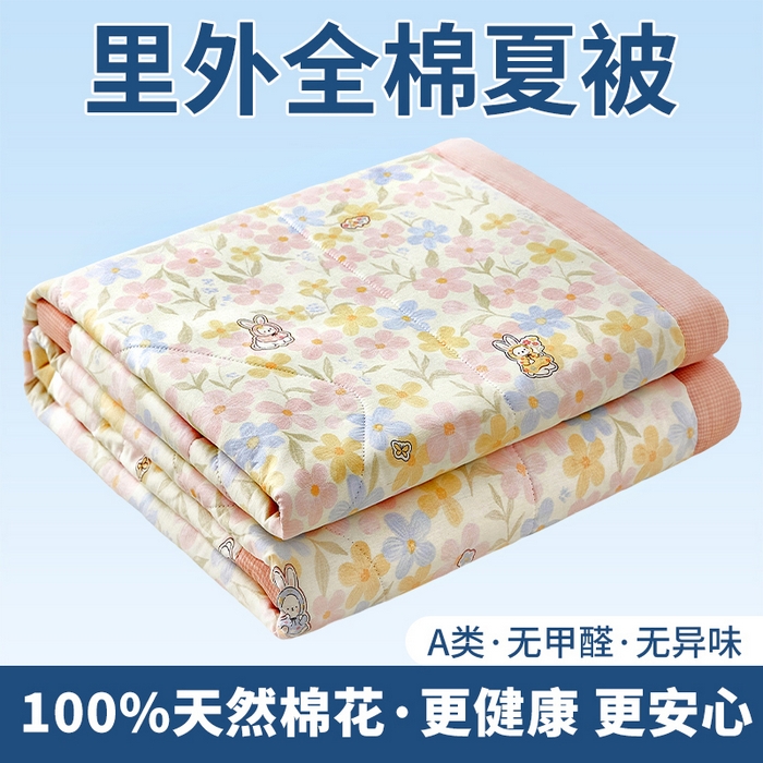 91家纺网 家纺一手货源 找家纺 （总）黛妮雅 2026新款里外全棉印花棉花被纯棉夏被夏凉被空调被 夏被四件套