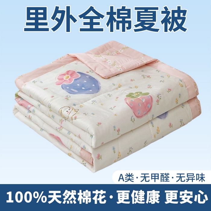 91家纺网 家纺一手货源 找家纺 （总）黛妮雅 2026新款里外全棉印花棉花被纯棉夏被夏凉被空调被 夏被四件套
