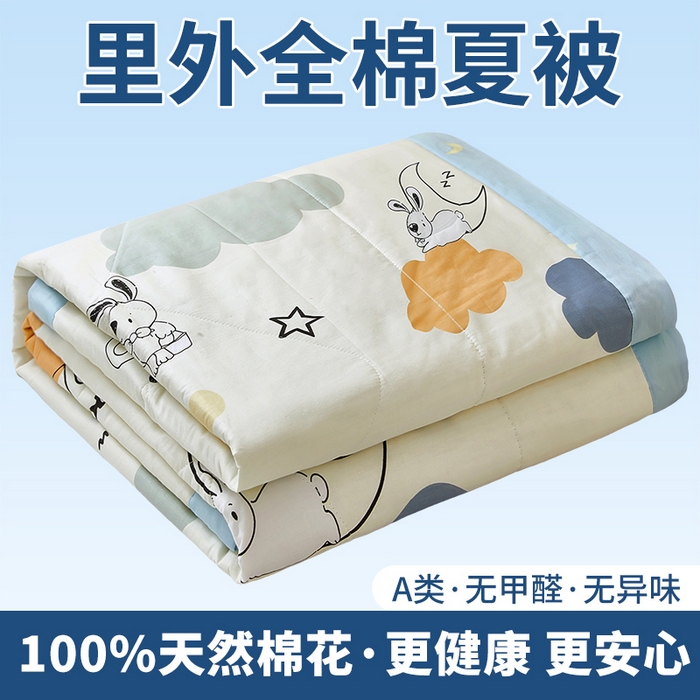 91家纺网 家纺一手货源 找家纺 （总）黛妮雅 2026新款里外全棉印花棉花被纯棉夏被夏凉被空调被 夏被四件套