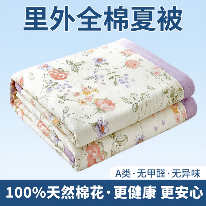 91家纺网 家纺一手货源 找家纺 （总）黛妮雅 2026新款里外全棉印花棉花被纯棉夏被夏凉被空调被 夏被四件套
