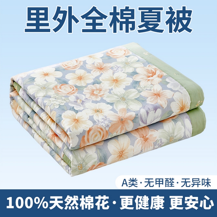 91家纺网 家纺一手货源 找家纺 （总）黛妮雅 2026新款里外全棉印花棉花被纯棉夏被夏凉被空调被 夏被四件套