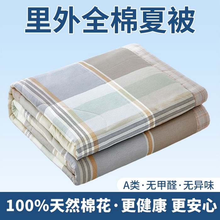 91家纺网 家纺一手货源 找家纺 （总）黛妮雅 2026新款里外全棉印花棉花被纯棉夏被夏凉被空调被 夏被四件套