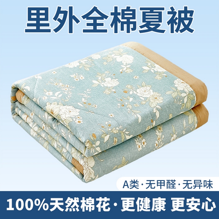 91家纺网 家纺一手货源 找家纺 （总）黛妮雅 2026新款里外全棉印花棉花被纯棉夏被夏凉被空调被 夏被四件套