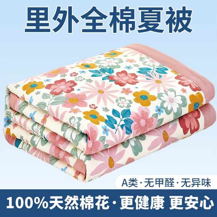 91家纺网 家纺一手货源 找家纺 （总）黛妮雅 2026新款里外全棉印花棉花被纯棉夏被夏凉被空调被 夏被四件套