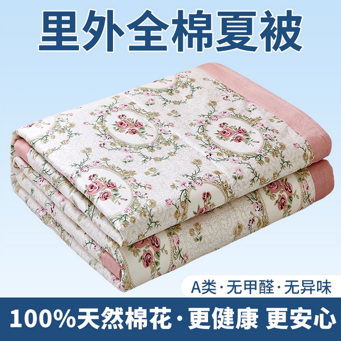 91家纺网 家纺一手货源 找家纺 （总）黛妮雅 2026新款里外全棉印花棉花被纯棉夏被夏凉被空调被 夏被四件套