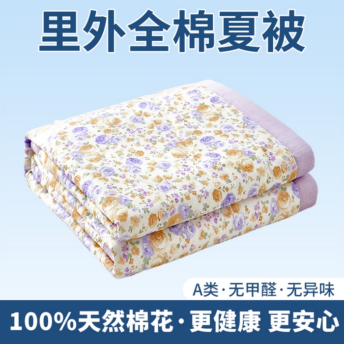 91家纺网 家纺一手货源 找家纺 （总）黛妮雅 2026新款里外全棉印花棉花被纯棉夏被夏凉被空调被 夏被四件套