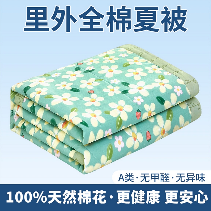 91家纺网 家纺一手货源 找家纺 （总）黛妮雅 2026新款里外全棉印花棉花被纯棉夏被夏凉被空调被 夏被四件套