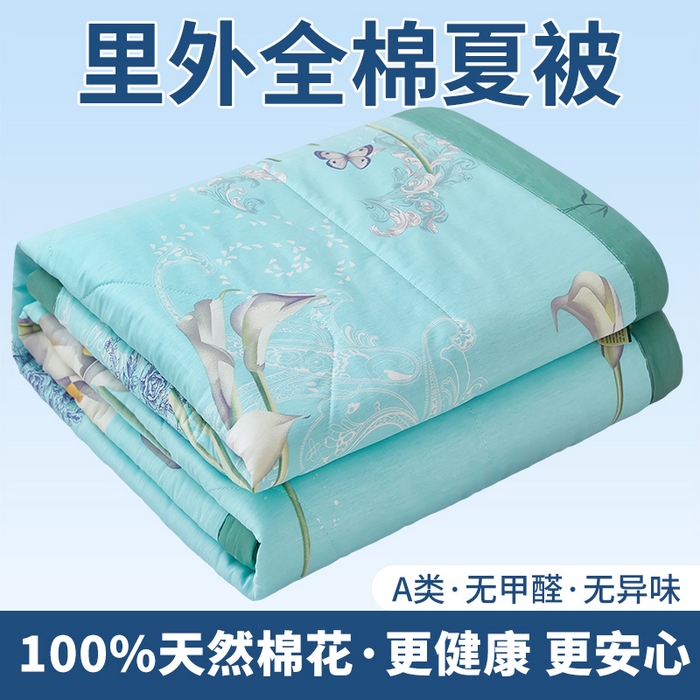91家纺网 家纺一手货源 找家纺 （总）黛妮雅 2026新款里外全棉印花棉花被纯棉夏被夏凉被空调被 夏被四件套