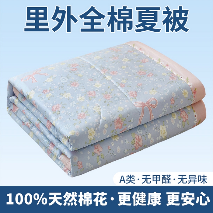 91家纺网 家纺一手货源 找家纺 （总）黛妮雅 2026新款里外全棉印花棉花被纯棉夏被夏凉被空调被 夏被四件套