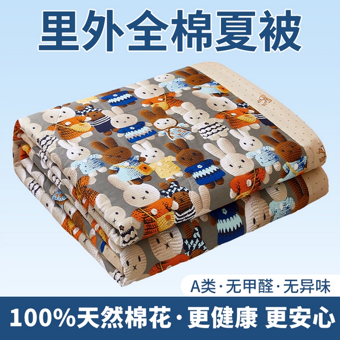 91家纺网 家纺一手货源 找家纺 （总）黛妮雅 2026新款里外全棉印花棉花被纯棉夏被夏凉被空调被 夏被四件套