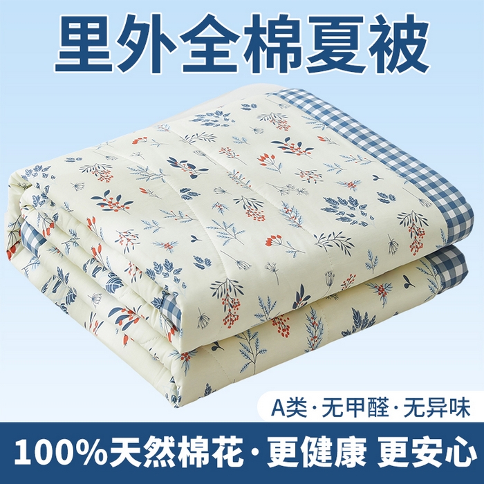 91家纺网 家纺一手货源 找家纺 （总）黛妮雅 2026新款里外全棉印花棉花被纯棉夏被夏凉被空调被 夏被四件套
