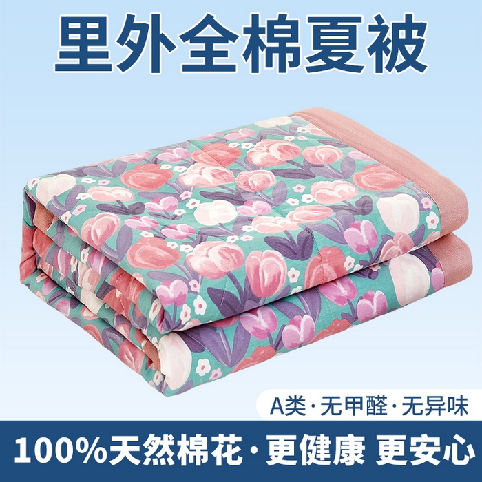 91家纺网 家纺一手货源 找家纺 （总）黛妮雅 2026新款里外全棉印花棉花被纯棉夏被夏凉被空调被 夏被四件套