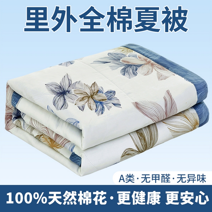 91家纺网 家纺一手货源 找家纺 黛妮雅 2026新款里外全棉印花棉花被纯棉夏被夏凉被空调被 夏被四件套安丽