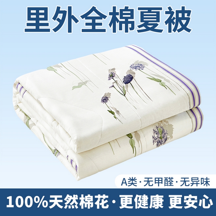 黛妮雅 2026新款里外全棉印花棉花被纯棉夏被夏凉被空调被 夏被四件套蒲公英