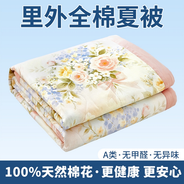 黛妮雅 2026新款里外全棉印花棉花被纯棉夏被夏凉被空调被 夏被四件套水墨嫣然