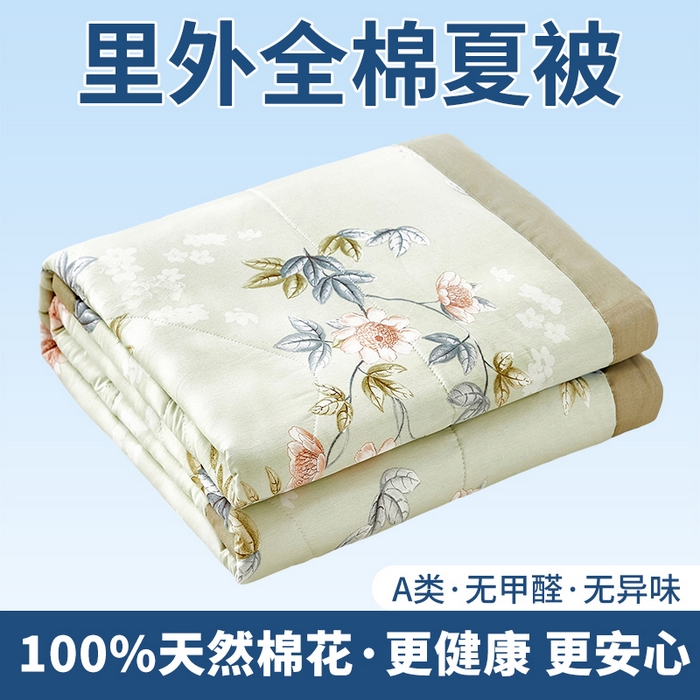 黛妮雅 2026新款里外全棉印花棉花被纯棉夏被夏凉被空调被 夏被四件套罗娜-绿 
