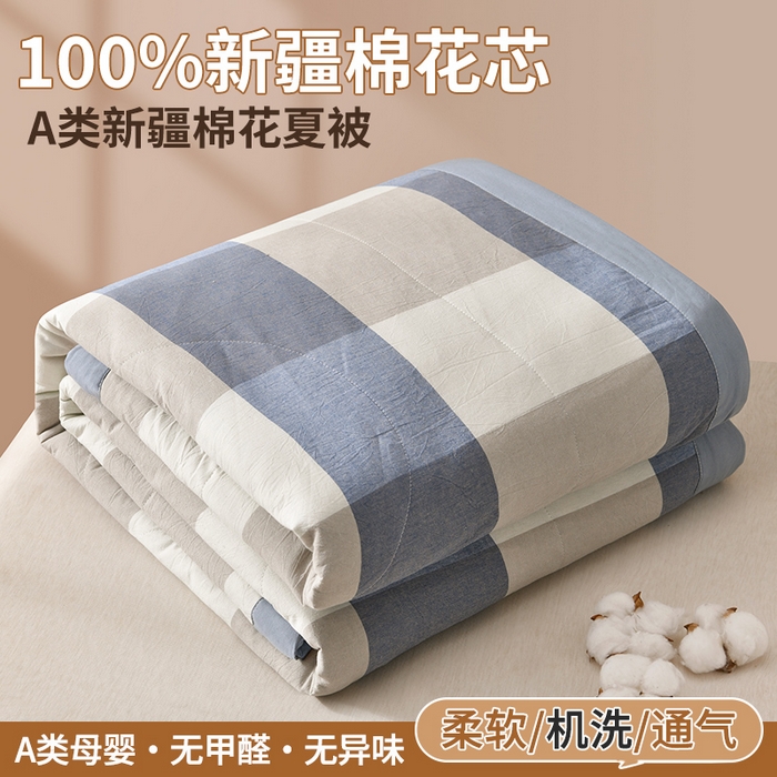 培童家纺 2026新款全棉色织水洗棉A类棉花夏被可机洗空调被四件套床单枕套 蓝大格