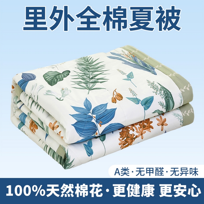 黛妮雅 2026新款里外全棉印花棉花被纯棉夏被夏凉被空调被 夏被四件套莎莉