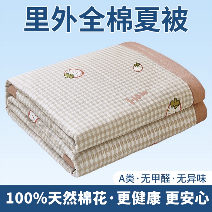 91家纺网 家纺一手货源 找家纺 黛妮雅 2026新款里外全棉印花棉花被纯棉夏被夏凉被空调被 夏被四件套格子草莓咖