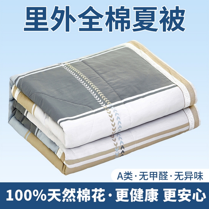 黛妮雅 2026新款里外全棉印花棉花被纯棉夏被夏凉被空调被 夏被四件套奇幻曲