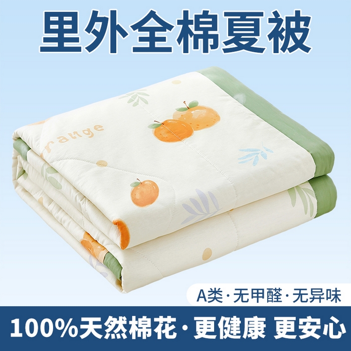黛妮雅 2026新款里外全棉印花棉花被纯棉夏被夏凉被空调被 夏被四件套鲜橙多
