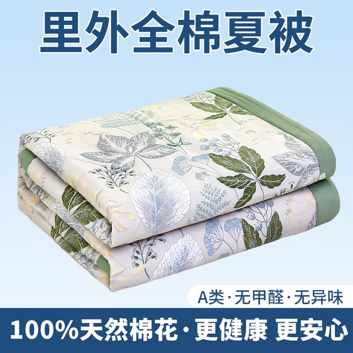 黛妮雅 2026新款里外全棉印花棉花被纯棉夏被夏凉被空调被 夏被四件套叶初