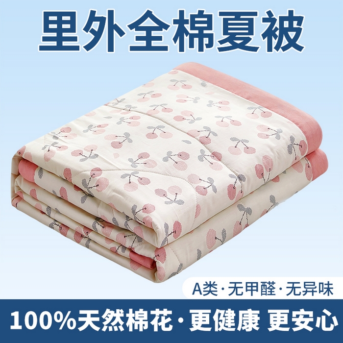 黛妮雅 2026新款里外全棉印花棉花被纯棉夏被夏凉被空调被 夏被四件套樱桃之恋
