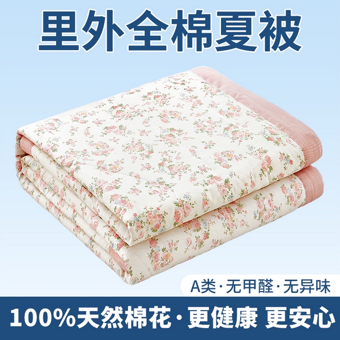 黛妮雅 2026新款里外全棉印花棉花被纯棉夏被夏凉被空调被 夏被四件套相思蜜语