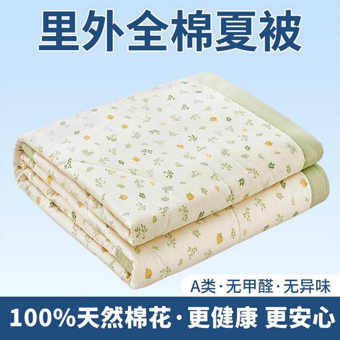黛妮雅 2026新款里外全棉印花棉花被纯棉夏被夏凉被空调被 夏被四件套知夏