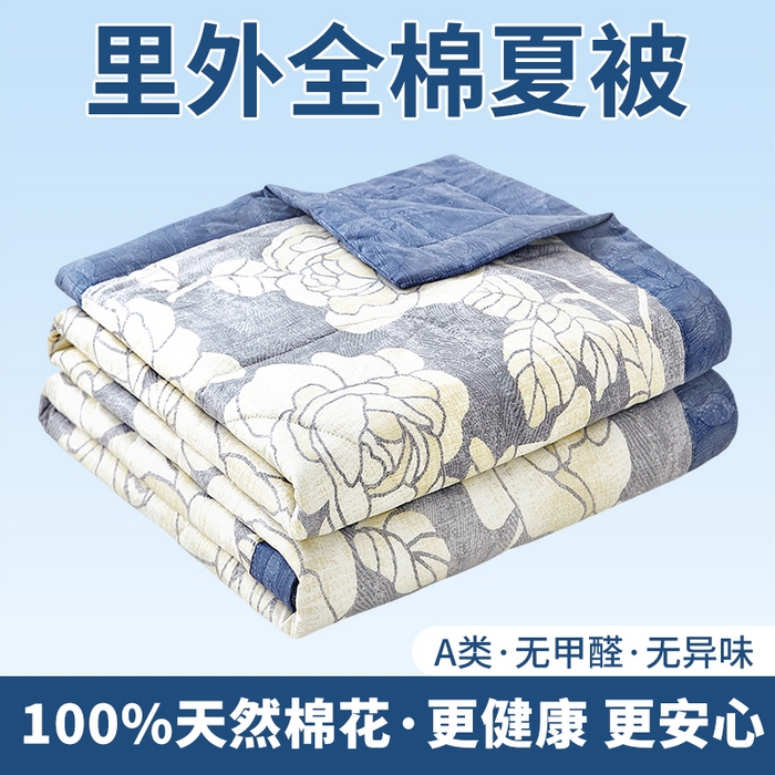91家纺网 家纺一手货源 找家纺 （总）黛妮雅 2026新款全棉印花棉花被纯棉单件夏被夏凉被空调被 夏被四件套