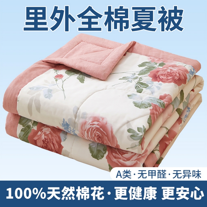 91家纺网 家纺一手货源 找家纺 （总）黛妮雅 2026新款全棉印花棉花被纯棉单件夏被夏凉被空调被 夏被四件套