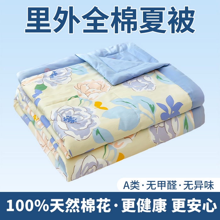 91家纺网 家纺一手货源 找家纺 （总）黛妮雅 2026新款全棉印花棉花被纯棉单件夏被夏凉被空调被 夏被四件套