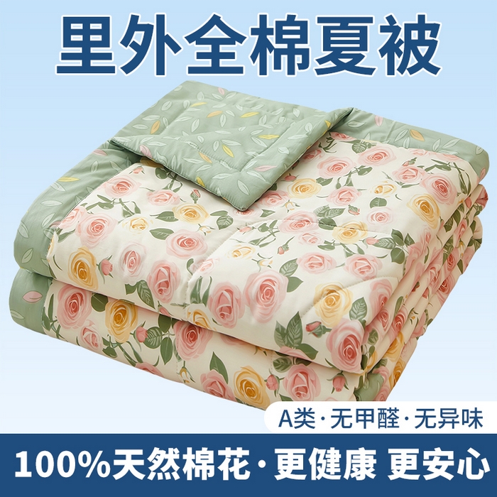 91家纺网 家纺一手货源 找家纺 （总）黛妮雅 2026新款全棉印花棉花被纯棉单件夏被夏凉被空调被 夏被四件套