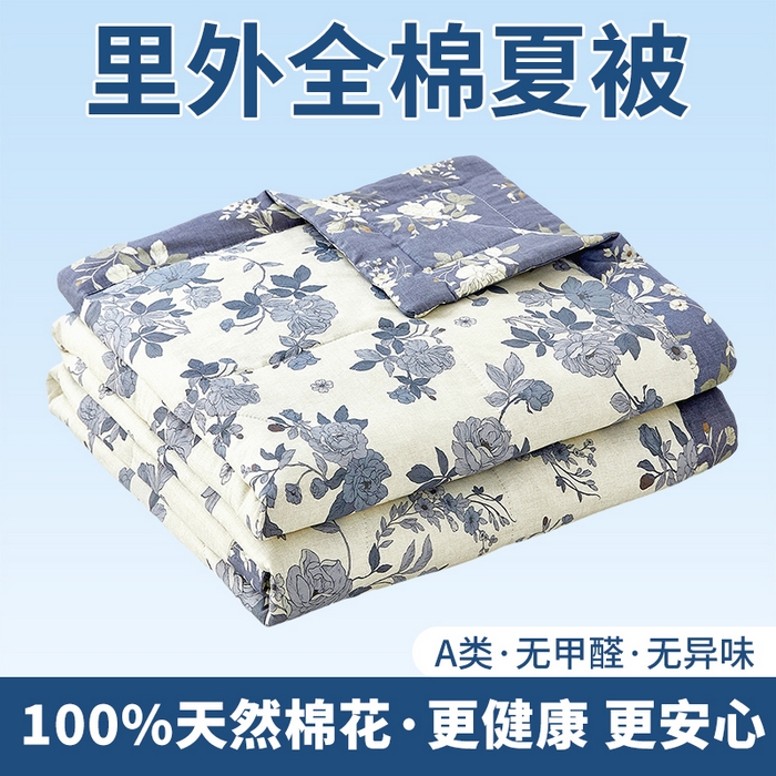 91家纺网 家纺一手货源 找家纺 （总）黛妮雅 2026新款全棉印花棉花被纯棉单件夏被夏凉被空调被 夏被四件套