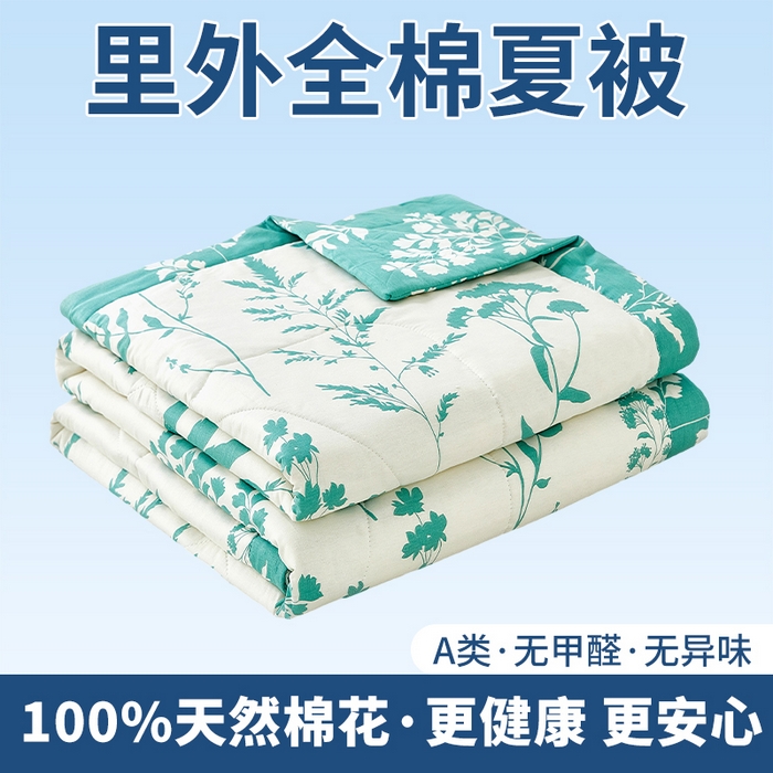 91家纺网 家纺一手货源 找家纺 （总）黛妮雅 2026新款全棉印花棉花被纯棉单件夏被夏凉被空调被 夏被四件套