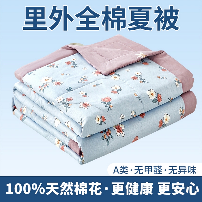 91家纺网 家纺一手货源 找家纺 （总）黛妮雅 2026新款全棉印花棉花被纯棉单件夏被夏凉被空调被 夏被四件套