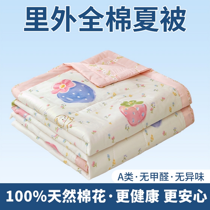 91家纺网 家纺一手货源 找家纺 （总）黛妮雅 2026新款全棉印花棉花被纯棉单件夏被夏凉被空调被 夏被四件套