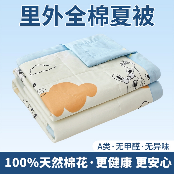 91家纺网 家纺一手货源 找家纺 （总）黛妮雅 2026新款全棉印花棉花被纯棉单件夏被夏凉被空调被 夏被四件套