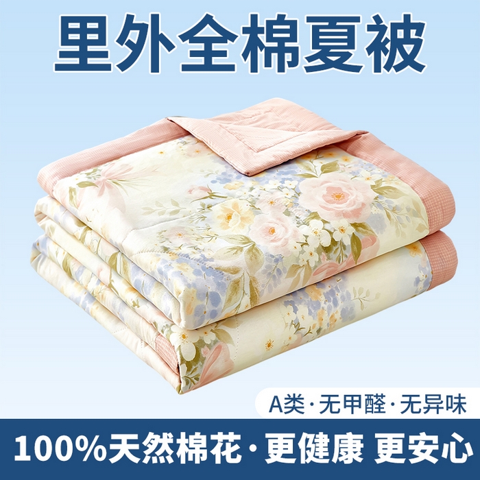 91家纺网 家纺一手货源 找家纺 （总）黛妮雅 2026新款全棉印花棉花被纯棉单件夏被夏凉被空调被 夏被四件套