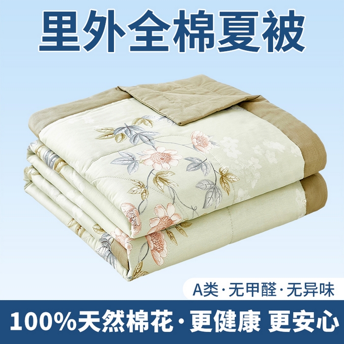 91家纺网 家纺一手货源 找家纺 （总）黛妮雅 2026新款全棉印花棉花被纯棉单件夏被夏凉被空调被 夏被四件套