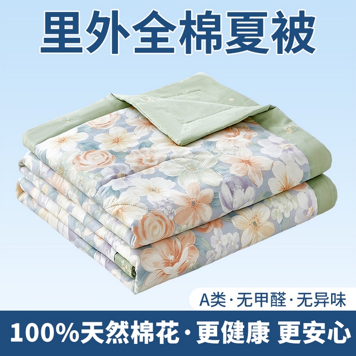 91家纺网 家纺一手货源 找家纺 （总）黛妮雅 2026新款全棉印花棉花被纯棉单件夏被夏凉被空调被 夏被四件套