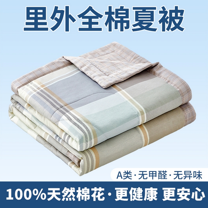 91家纺网 家纺一手货源 找家纺 （总）黛妮雅 2026新款全棉印花棉花被纯棉单件夏被夏凉被空调被 夏被四件套