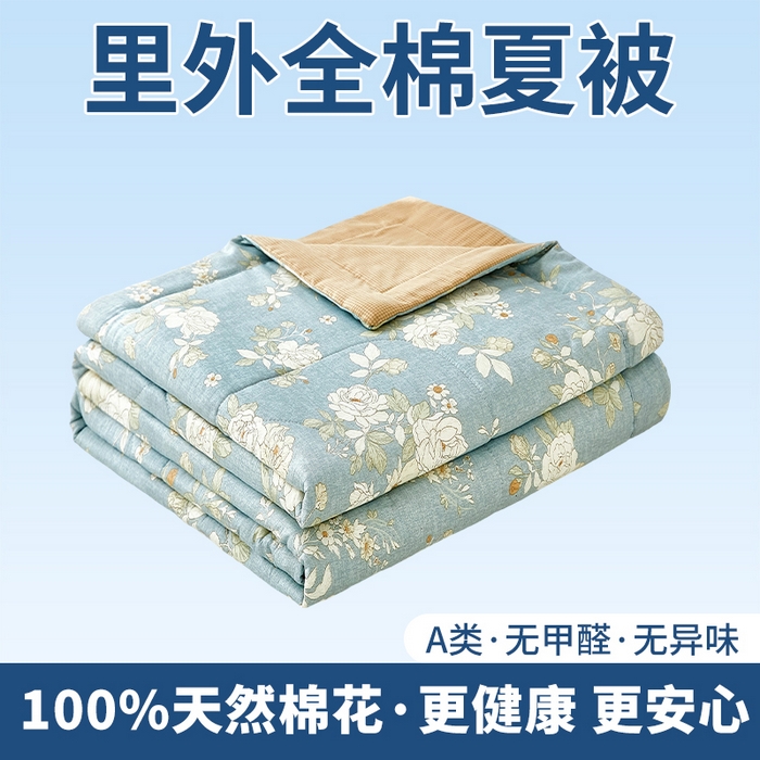 91家纺网 家纺一手货源 找家纺 （总）黛妮雅 2026新款全棉印花棉花被纯棉单件夏被夏凉被空调被 夏被四件套