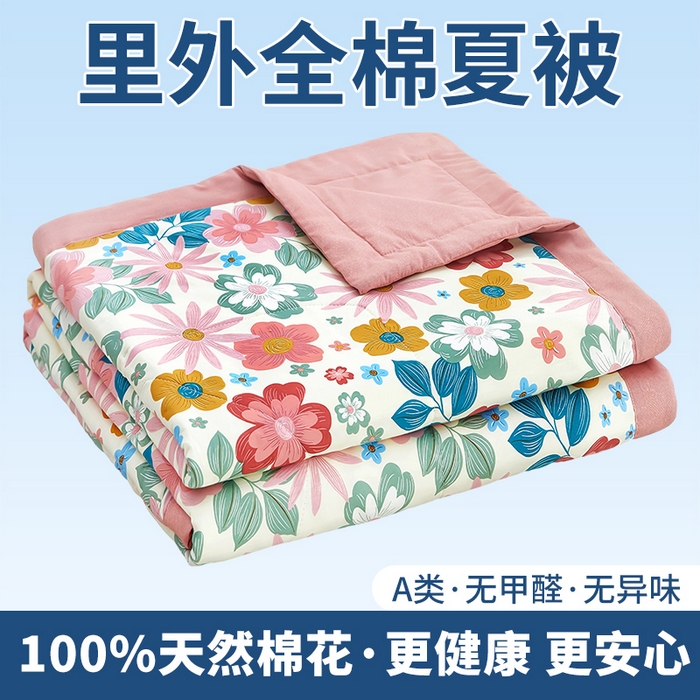 91家纺网 家纺一手货源 找家纺 （总）黛妮雅 2026新款全棉印花棉花被纯棉单件夏被夏凉被空调被 夏被四件套