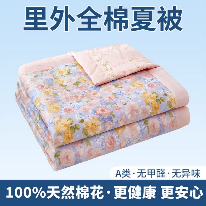 91家纺网 家纺一手货源 找家纺 （总）黛妮雅 2026新款全棉印花棉花被纯棉单件夏被夏凉被空调被 夏被四件套
