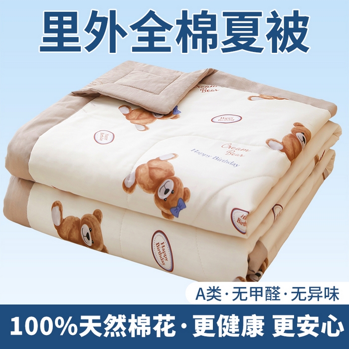 91家纺网 家纺一手货源 找家纺 （总）黛妮雅 2026新款全棉印花棉花被纯棉单件夏被夏凉被空调被 夏被四件套