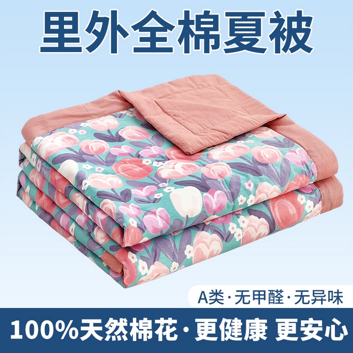 91家纺网 家纺一手货源 找家纺 （总）黛妮雅 2026新款全棉印花棉花被纯棉单件夏被夏凉被空调被 夏被四件套